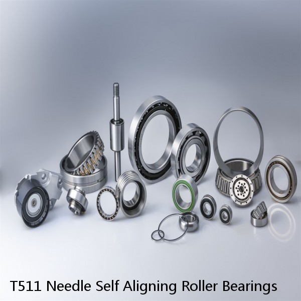 T511 Needle Self Aligning Roller Bearings