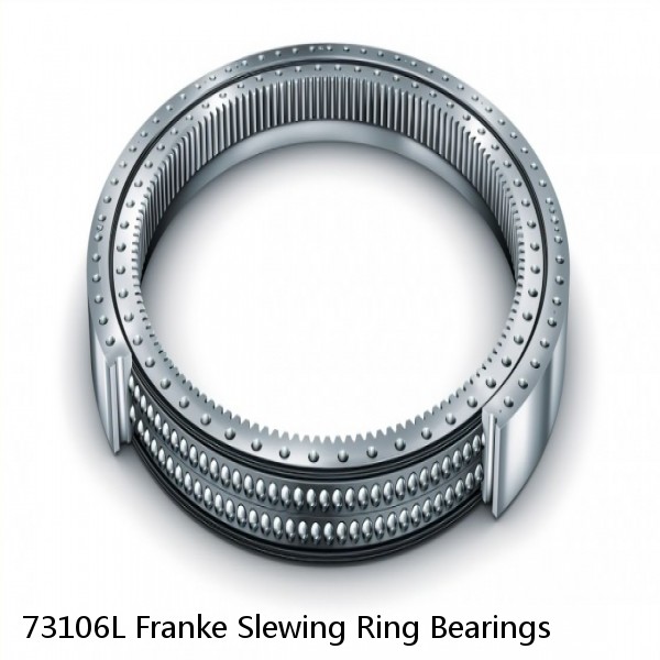 73106L Franke Slewing Ring Bearings