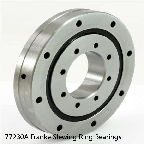 77230A Franke Slewing Ring Bearings