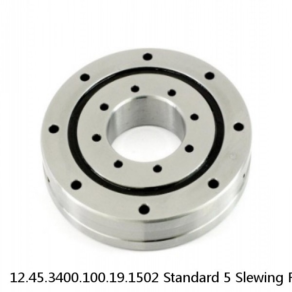 12.45.3400.100.19.1502 Standard 5 Slewing Ring Bearings #1 small image