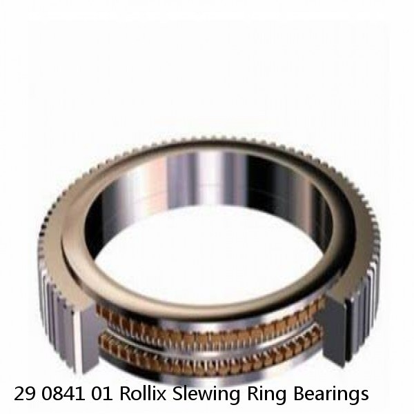 29 0841 01 Rollix Slewing Ring Bearings #1 small image