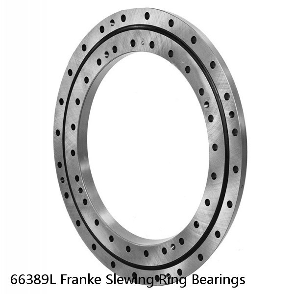 66389L Franke Slewing Ring Bearings #1 small image