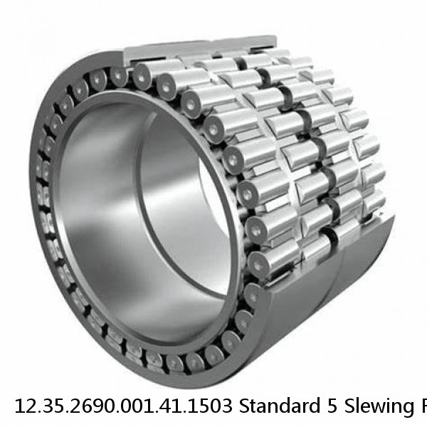 12.35.2690.001.41.1503 Standard 5 Slewing Ring Bearings #1 small image