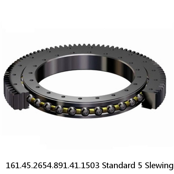 161.45.2654.891.41.1503 Standard 5 Slewing Ring Bearings #1 small image