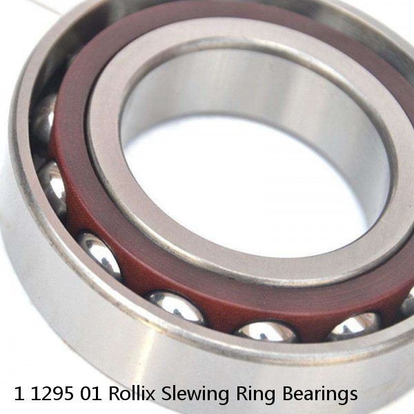 1 1295 01 Rollix Slewing Ring Bearings #1 small image