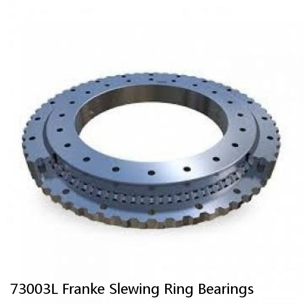 73003L Franke Slewing Ring Bearings #1 small image