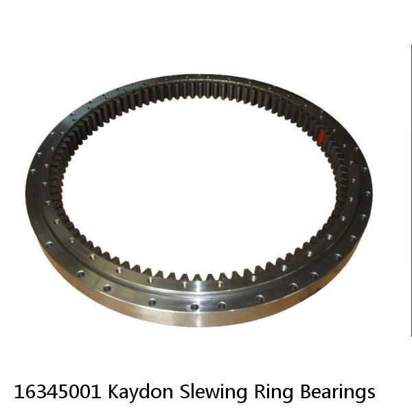 16345001 Kaydon Slewing Ring Bearings #1 small image