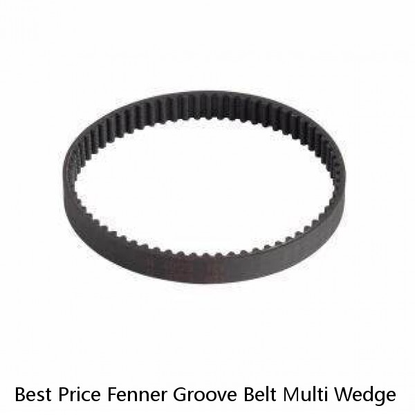 Best Price Fenner Groove Belt Multi Wedge #1 small image