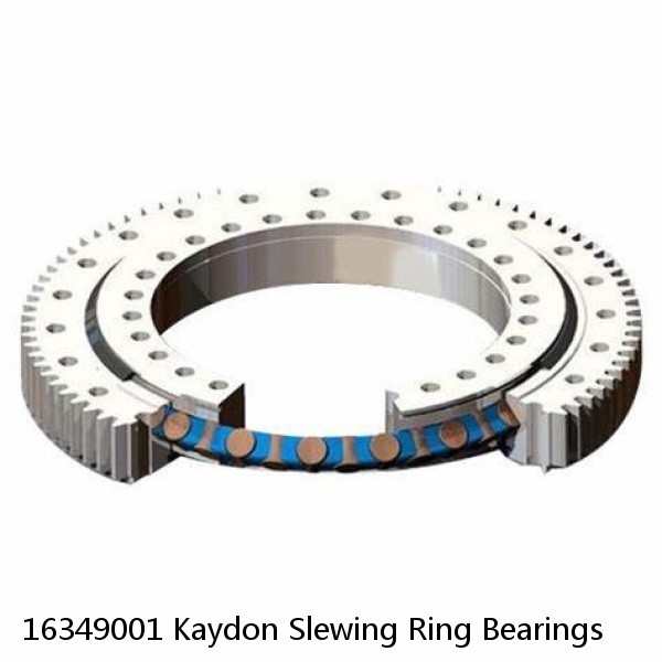 16349001 Kaydon Slewing Ring Bearings #1 image