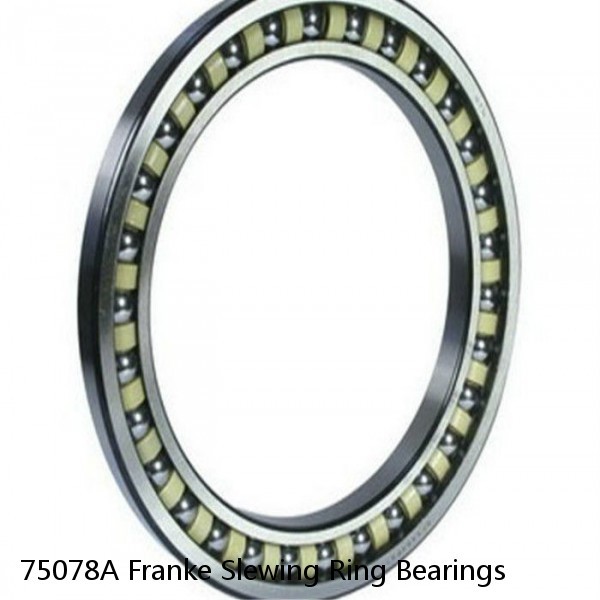 75078A Franke Slewing Ring Bearings #1 image