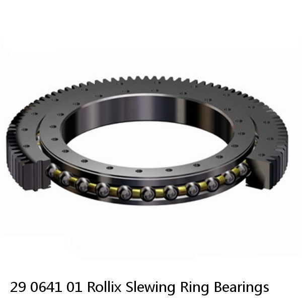 29 0641 01 Rollix Slewing Ring Bearings #1 image