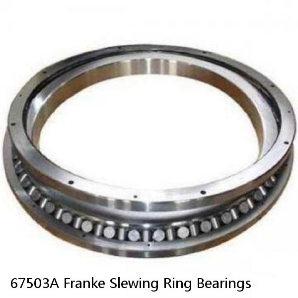 67503A Franke Slewing Ring Bearings #1 image