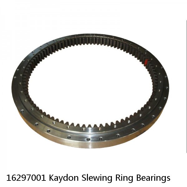16297001 Kaydon Slewing Ring Bearings #1 image