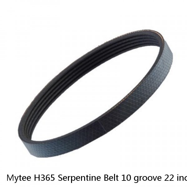 Mytee H365 Serpentine Belt 10 groove 22 inches PolyV Belts 220-J-10 Jianli 220J  #1 image