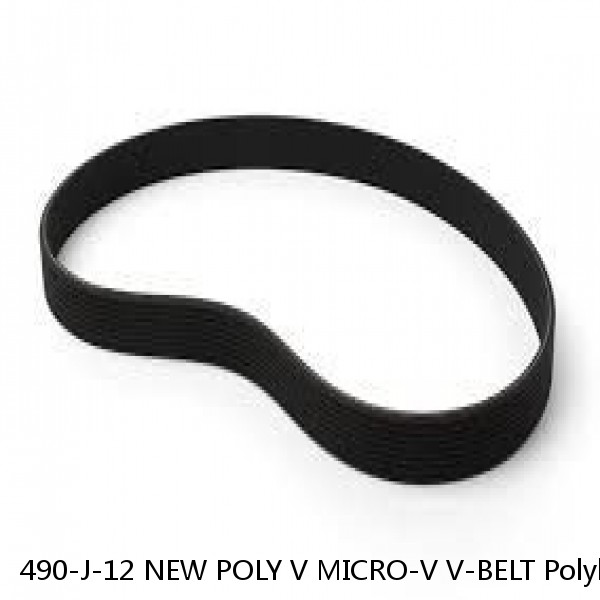 490-J-12 NEW POLY V MICRO-V V-BELT Polybelt 490J12 PolyV Belt #1 image
